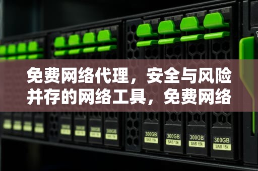 免费网络代理，安全与风险并存的网络工具，免费网络代理服务器
