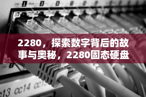 2280，探索数字背后的故事与奥秘，2280固态硬盘尺寸