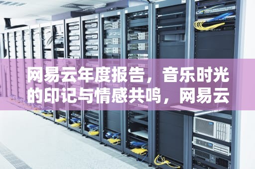 网易云年度报告，音乐时光的印记与情感共鸣，网易云年度报告什么时候出来