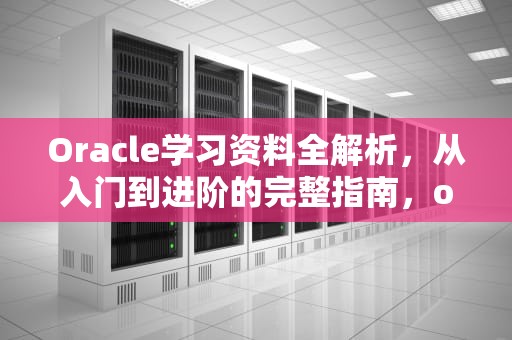 Oracle学习资料全解析，从入门到进阶的完整指南，oracle资料库