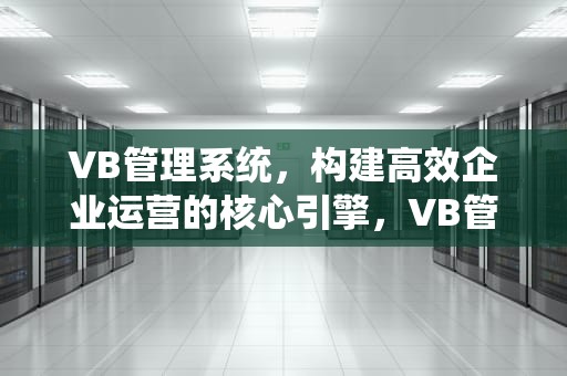 VB管理系统，构建高效企业运营的核心引擎，VB管理系统