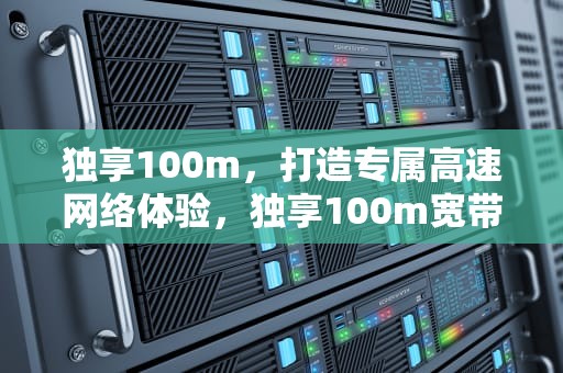 独享100m，打造专属高速网络体验，独享100m宽带