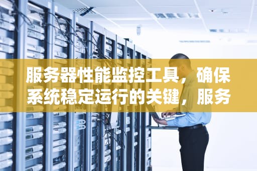 服务器性能监控工具，确保系统稳定运行的关键，服务器性能监控工具推荐