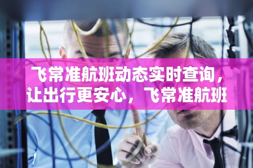 飞常准航班动态实时查询，让出行更安心，飞常准航班动态实时查询下载
