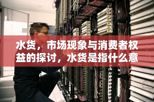 水货，市场现象与消费者权益的探讨，水货是指什么意思