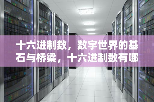 十六进制数，数字世界的基石与桥梁，十六进制数有哪些