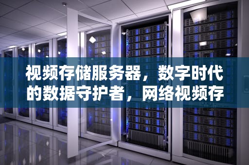 视频存储服务器，数字时代的数据守护者，网络视频存储服务器