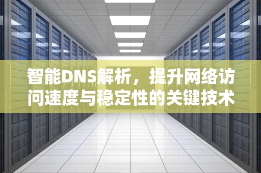 智能DNS解析，提升网络访问速度与稳定性的关键技术，智能dns解析原理
