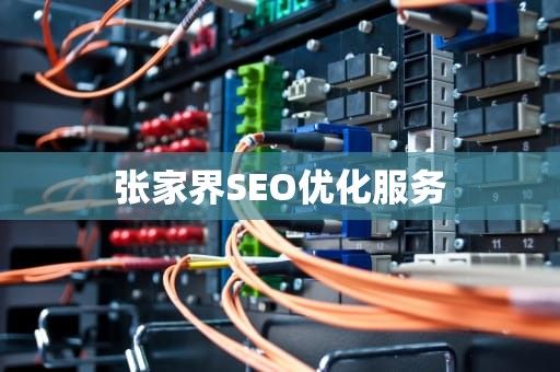 张家界SEO优化服务