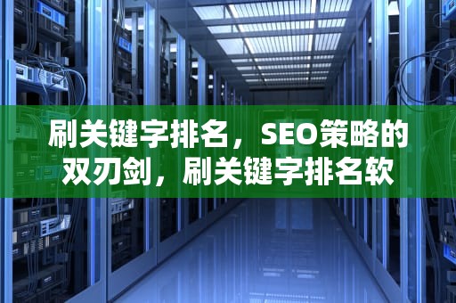 刷关键字排名，SEO策略的双刃剑，刷关键字排名软