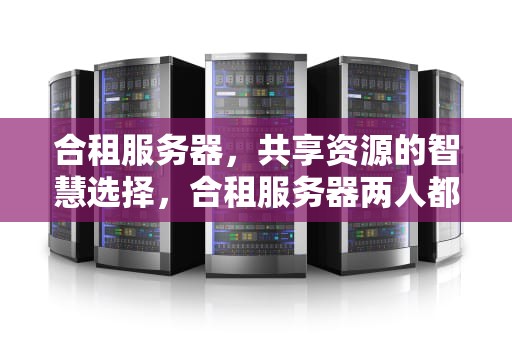 合租服务器，共享资源的智慧选择，合租服务器两人都能看到记录吗