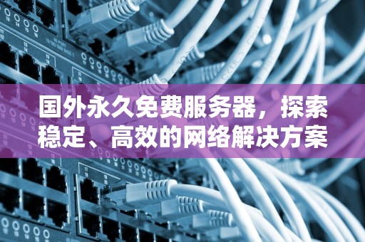 国外永久免费服务器，探索稳定、高效的网络解决方案，国外永久免费服务器空间
