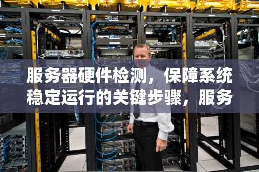 服务器硬件检测，保障系统稳定运行的关键步骤，服务器硬件检测软件