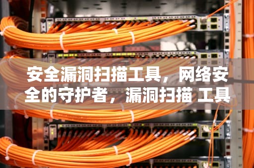 安全漏洞扫描工具，网络安全的守护者，漏洞扫描 工具