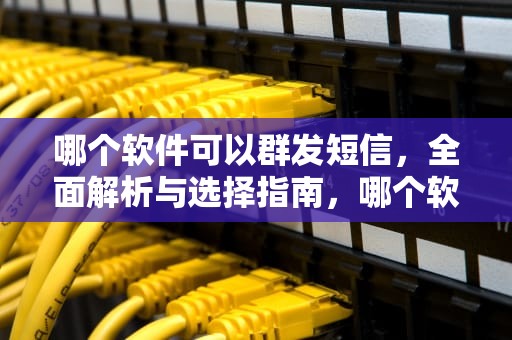 哪个软件可以群发短信，全面解析与选择指南，哪个软件可以群发短信信息
