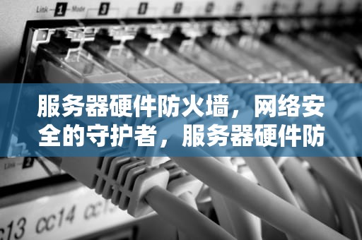 服务器硬件防火墙，网络安全的守护者，服务器硬件防火墙方案