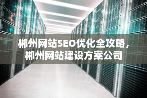 郴州网站SEO优化全攻略，郴州网站建设方案公司