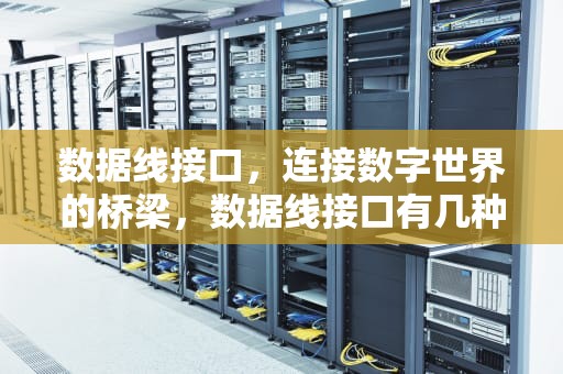 数据线接口，连接数字世界的桥梁，数据线接口有几种