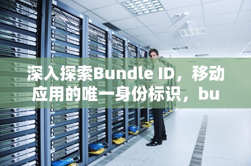 深入探索Bundle ID，移动应用的唯一身份标识，bundleid是什么意思