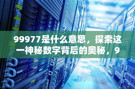 99977是什么意思，探索这一神秘数字背后的奥秘，99977是什么意思翻译成中文