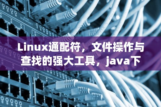 Linux通配符，文件操作与查找的强大工具，java下一页