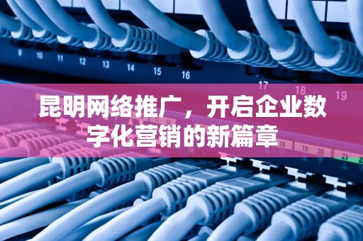 昆明网络推广，开启企业数字化营销的新篇章