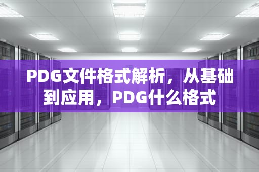 PDG文件格式解析，从基础到应用，PDG什么格式