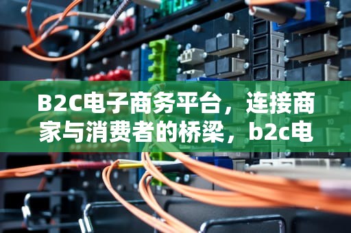 B2C电子商务平台，连接商家与消费者的桥梁，b2c电子商务平台有哪些