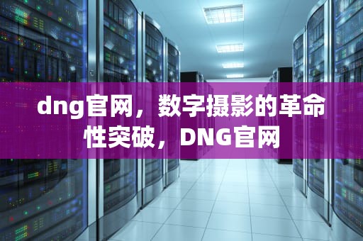 dng官网，数字摄影的革命性突破，DNG官网