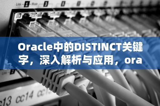 Oracle中的DISTINCT关键字，深入解析与应用，oracle distinct多个字段去重