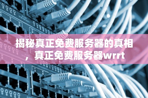 揭秘真正免费服务器的真相，真正免费服务器wrrt