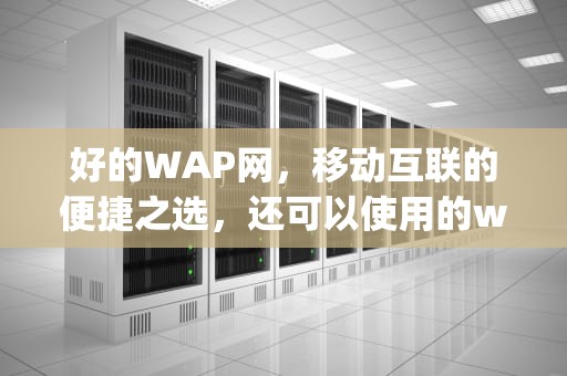 好的WAP网，移动互联的便捷之选，还可以使用的wap网址