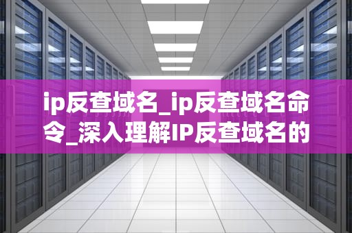 ip反查域名_ip反查域名命令_深入理解IP反查域名的技术和实践