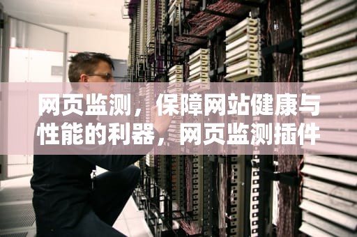 网页监测，保障网站健康与性能的利器，网页监测插件