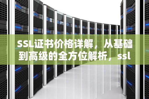 SSL证书价格详解，从基础到高级的全方位解析，ssl证书价格一年多少钱