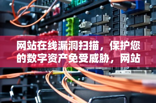 网站在线漏洞扫描，保护您的数字资产免受威胁，网站在线漏洞扫描软件