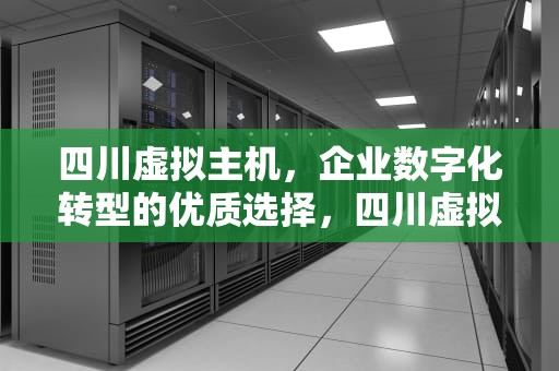 四川虚拟主机，企业数字化转型的优质选择，四川虚拟主机生产厂家