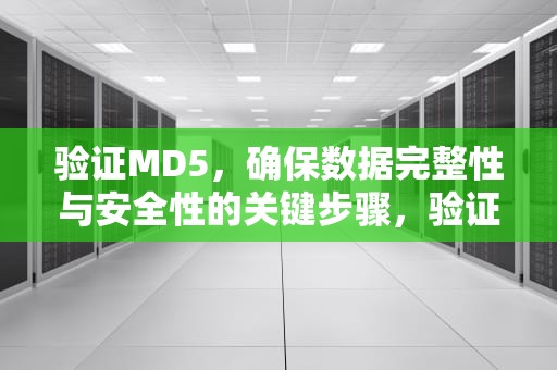验证MD5，确保数据完整性与安全性的关键步骤，验证md5是什么意思