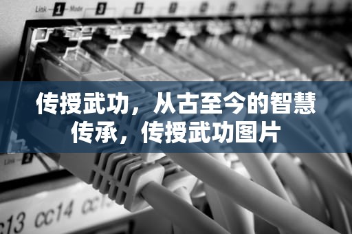 传授武功，从古至今的智慧传承，传授武功图片