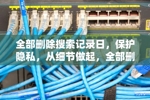 全部删除搜索记录日，保护隐私，从细节做起，全部删除搜索记录日期怎么看