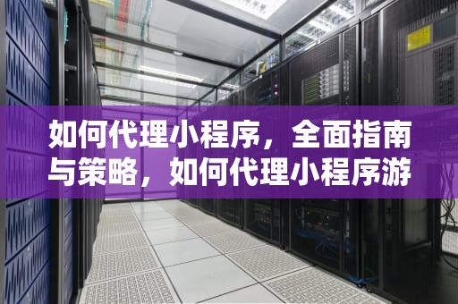 如何代理小程序，全面指南与策略，如何代理小程序游戏
