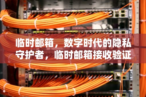 临时邮箱，数字时代的隐私守护者，临时邮箱接收验证码网站
