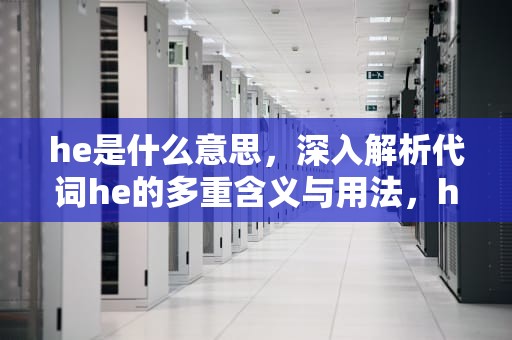 he是什么意思，深入解析代词he的多重含义与用法，he是什么意思在小说里