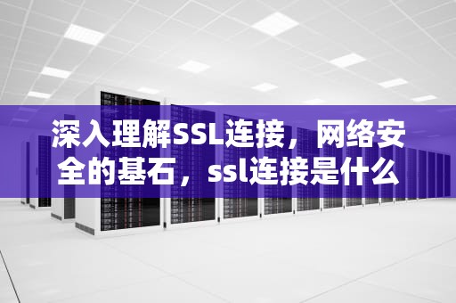 深入理解SSL连接，网络安全的基石，ssl连接是什么意思