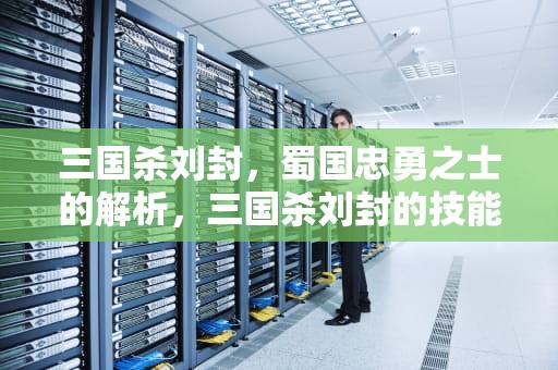 三国杀刘封，蜀国忠勇之士的解析，三国杀刘封的技能是什么意思
