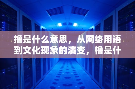 撸是什么意思，从网络用语到文化现象的演变，橹是什么意思