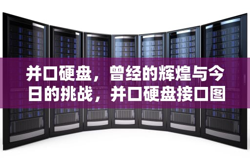 并口硬盘，曾经的辉煌与今日的挑战，并口硬盘接口图解