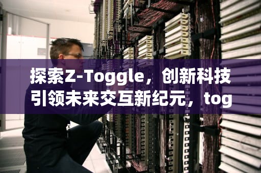 探索Z-Toggle，创新科技引领未来交互新纪元，toggle翻译