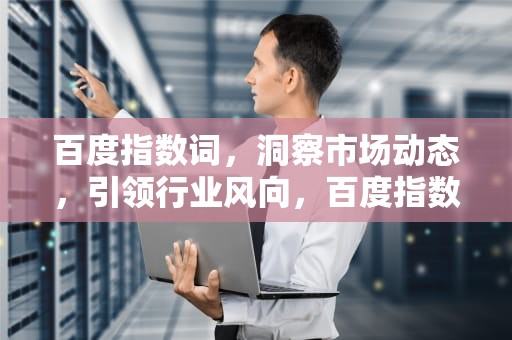 百度指数词，洞察市场动态，引领行业风向，百度指数在线查询