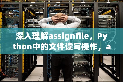 深入理解assignfile，Python中的文件读写操作，assignfile delphi
